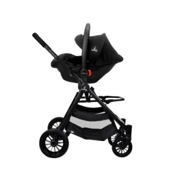 Asalvo - Trío Ecuador 2 Verde