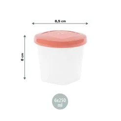Babymoov - 6 Recipientes Babybols 250 ml