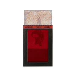 Batman - Figura con accesorios The Batman