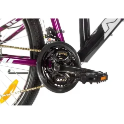 Bicicleta MTB NEON Amazone V1 negra