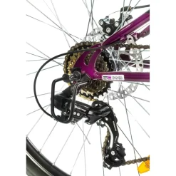 Bicicleta MTB NEON Amazone V1 negra