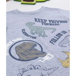 Camiseta gris dinosaurios niño