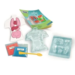 Clementoni - Kit Anatomía Squishy Organs