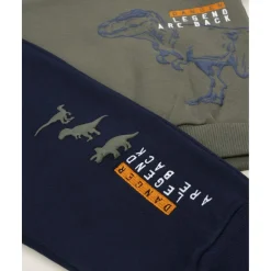 Conjunto deportivo niño T-rex