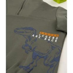 Conjunto deportivo niño T-rex