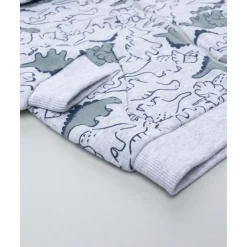 Conjunto jogging de niño gris con estampado Dino