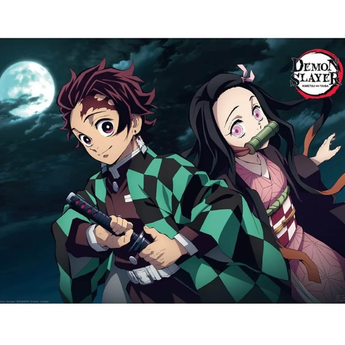 Demon Slayer - Pósters Tanjiro y sus amigos