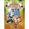 Dragon Ball - Póster Dragon Ball Super Broly Group 91.5x61cm