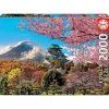 Educa Borrás - Castillo de Osaka, Japón - Puzzle 2000 piezas