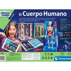 El Cuerpo Humano