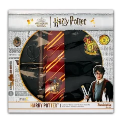 Harry Potter - Kit para Disfraz de Harry Potter (110-116 cm)