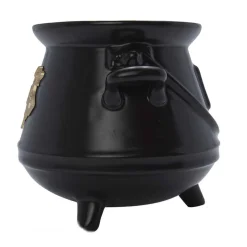 Harry Potter-Taza 3D Caldero Hogwarts