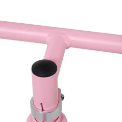 Homcom - Bicicleta de Equilibrio Sin Pedales Rosa HomCom