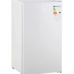 Homcom - Mini Nevera Blanca con Congelador 91L