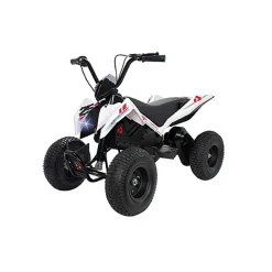 Injusa - Quad Hunter 24V