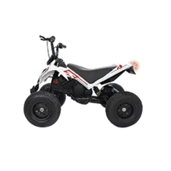 Injusa - Quad Hunter 24V