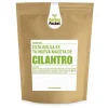 Kit de cultivo de cilantro