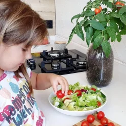 Kit de cultivo de tomate Cherry orgánico para interior