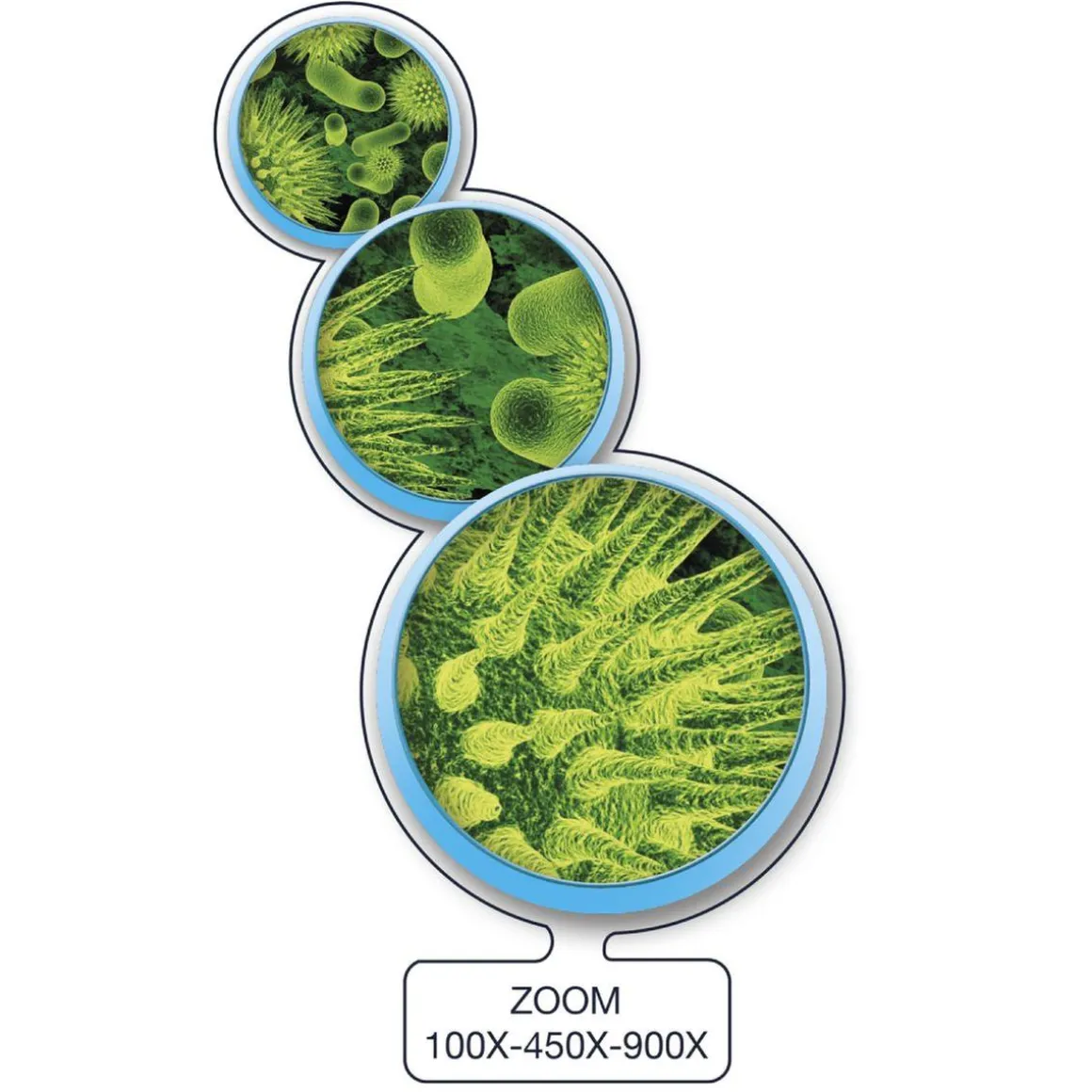 Micro Planet - Microscopio inteligente conectable