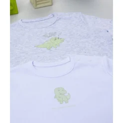 Pack 2 bodies de manga larga niño gris y blanco con dinosaurios