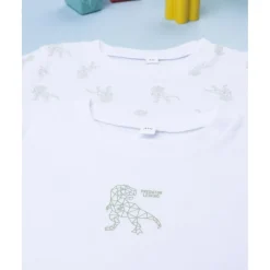Pack 2 camisetas Dino para niño