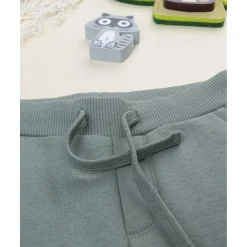 Pantalón niño verde felpado con estampado