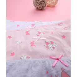 Paquete 5 calzoncillos rosas niña castillos