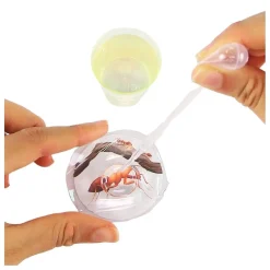 Peppa Pig - Exploradora