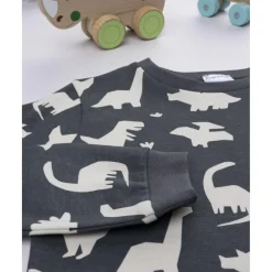 Pijama niño gris oscuro Dino