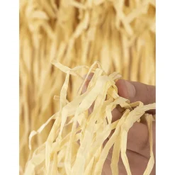 Primo Eso La Familia Addams Talla única