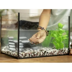 Schleich - Tortuga Carey