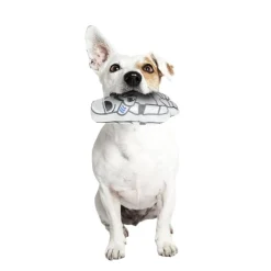 Star Wars - Soldado Imperial - Peluche para perros