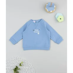 Sudadera azul de niño Little Friends