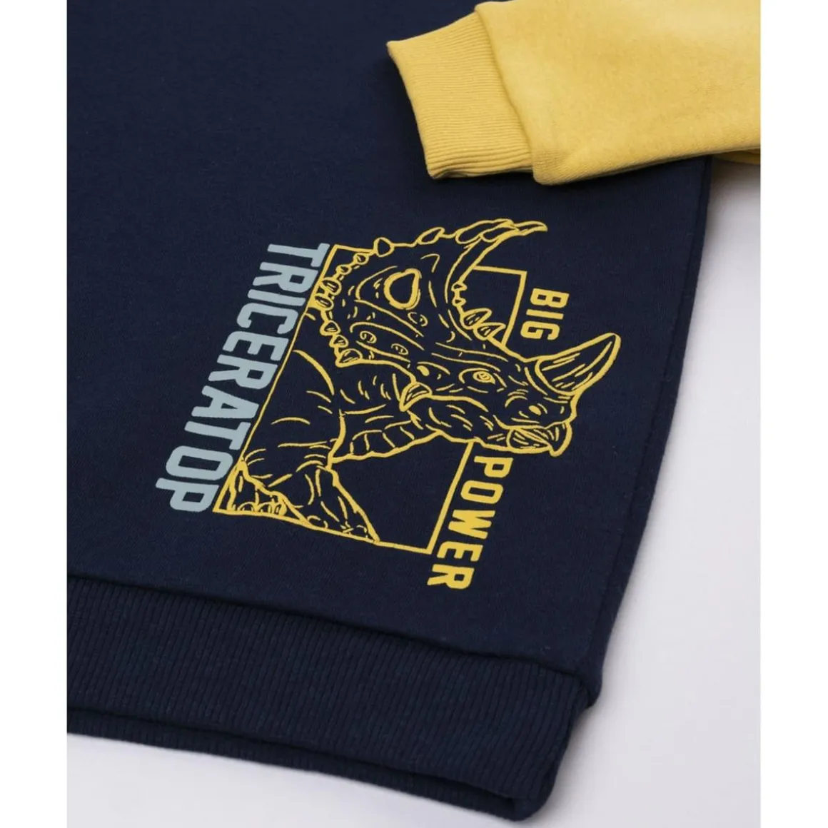 Sudadera niño azul/amarilla “Triceratops” raglán
