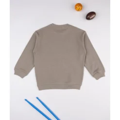 Sudadera niño marrón dinosaurios